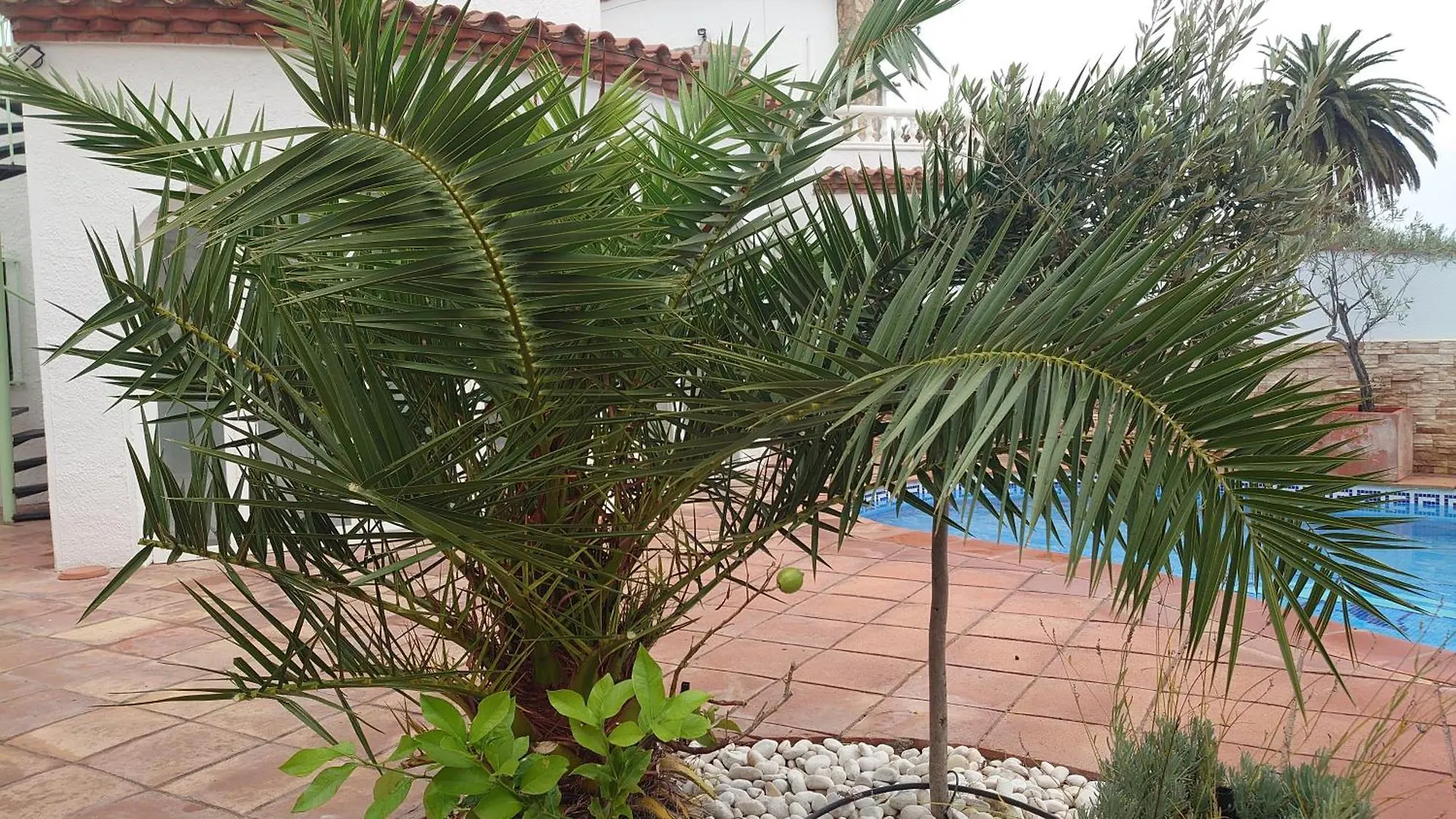 Villa Empuriabrava On Main Canal With 13 M Private Mooring, Private Pool, Air Con In All Rooms, Non-Smoking Espagne